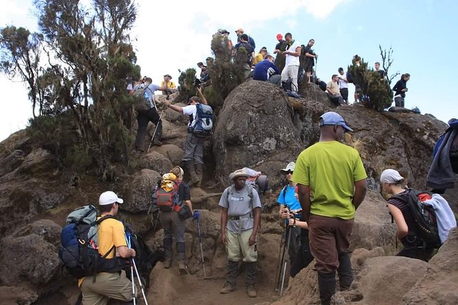 Machame Route 6 Days 5 Nights/Kilimanjaro Climb - Booking Requirements