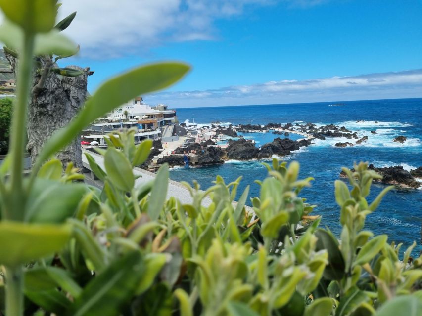 Madeira: SkyWalk, Fanal, Natural Pools 4x4 Jeep Tour - Camara De Lobos