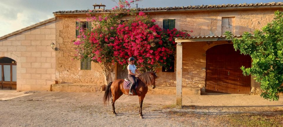 Mallorca: Mallorca Sunset, Randa Valley. - Participant Restrictions