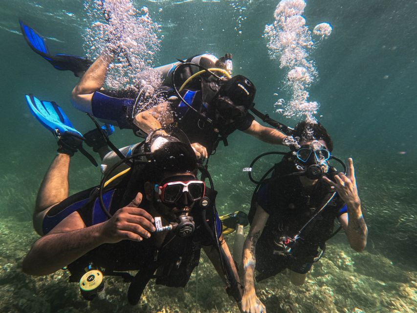 Mallorca: Private Beginner Scuba Dive With Photos and Video - Possible Marine Life Encounters