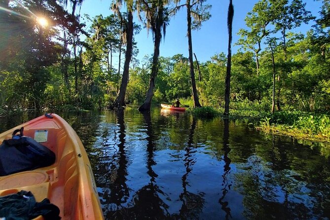 Manchac Swamp Kayak Small-Group Tour - Meeting Point and Transportation