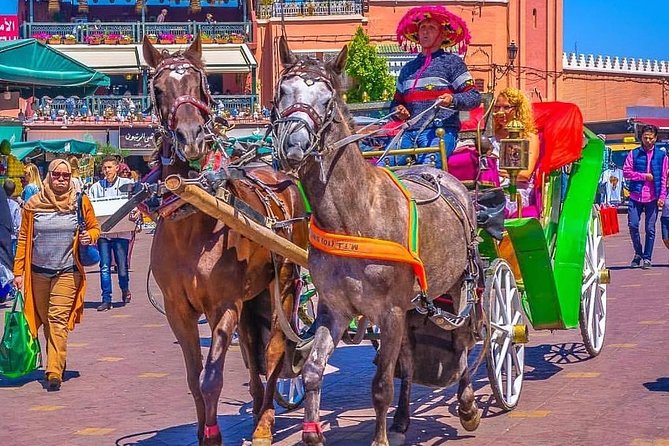 Marrakech Private Souks Shopping Tour - Inclusions and Experiences