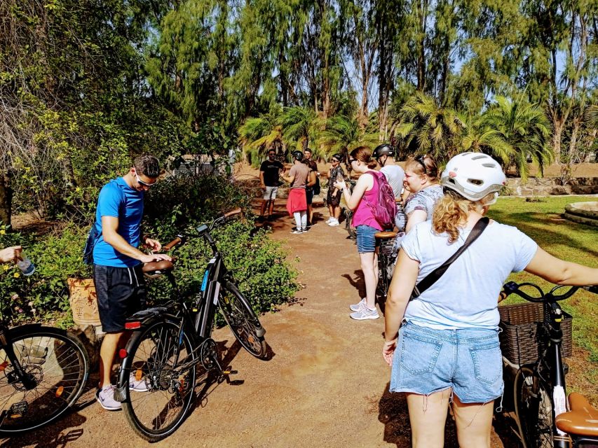 Maspalomas: Southern Coast E-Bike Tour Option Tapas Tasting - Participant Requirements