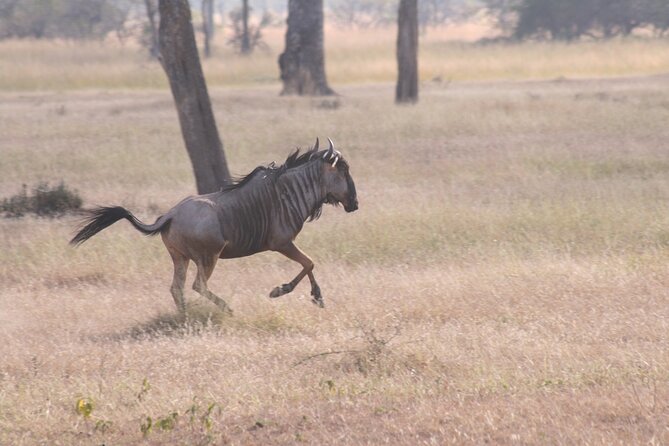 Mikumi National Park & Udzungwa Water Falls 3 Days Group Tour - Additional Information