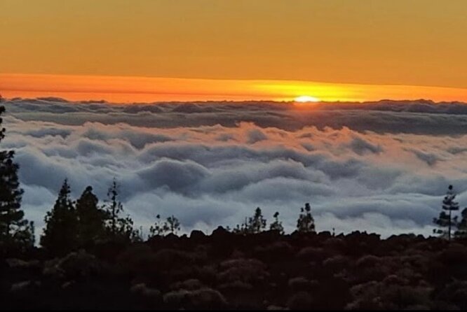 Monster Quad Teide Tour - Accessibility Considerations