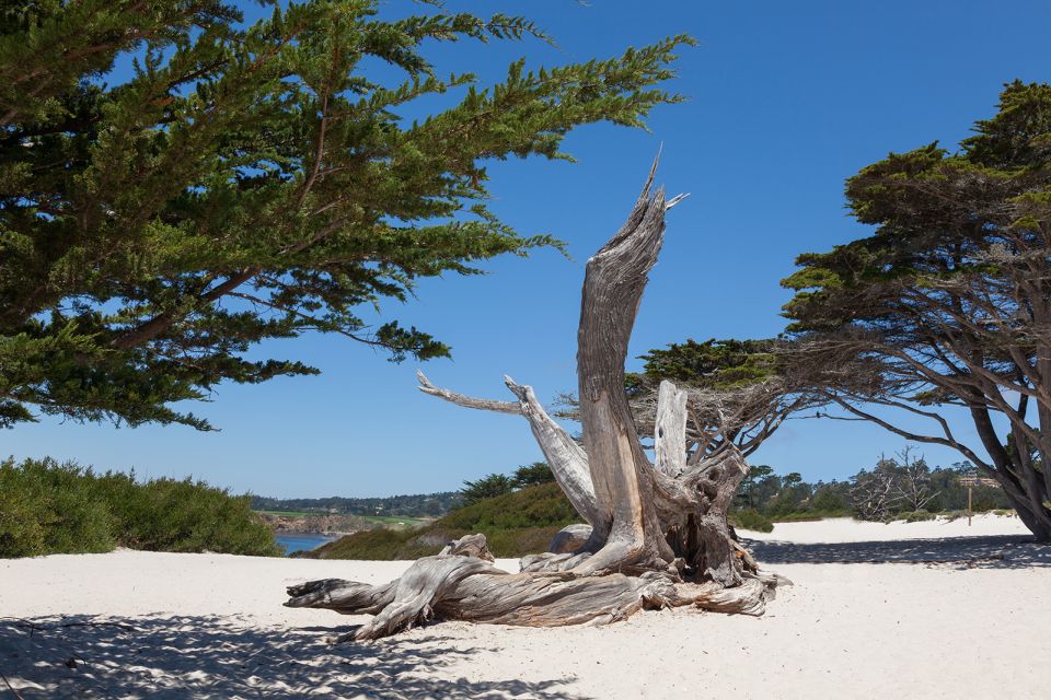 Monterey, Carmel, 17 Mile Dr, Big Sur & Mcway Falls Pvt Tour - Carmel-by-the-Sea Exploration