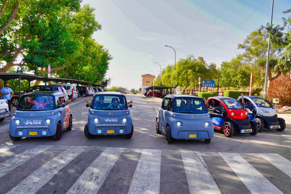 Montes Malaga Natural Park Tour With Lunch by Electric Car - Accessibility and Group Options