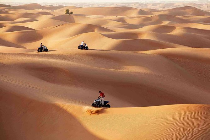 Morning Desert Safari With Quad Bike Tour Abu Dhabi - Refreshments and Upgrades