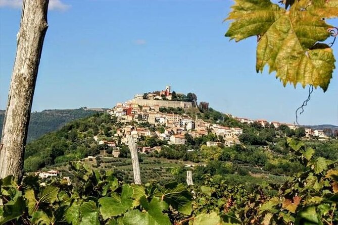 Motovun - Amazing Views & Tasty Truffles (From Rovinj) - Getting to Rovinj