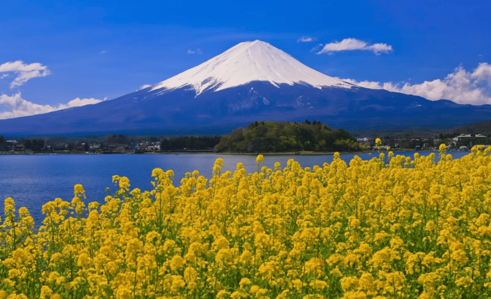 Mount Fuji Day Tour With English Speaking Guide - Included in the Tour