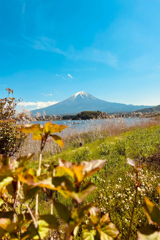 Mount Fuji Full Day Private Trip With English Speak Driver - Transportation and Inclusions