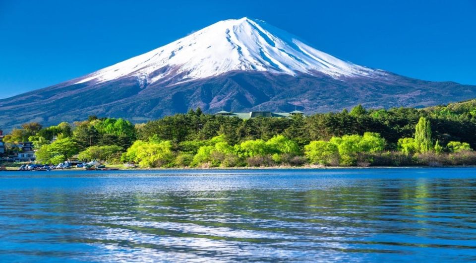 Mount Fuji Panoramic View & Shopping Day Tour - Important Information