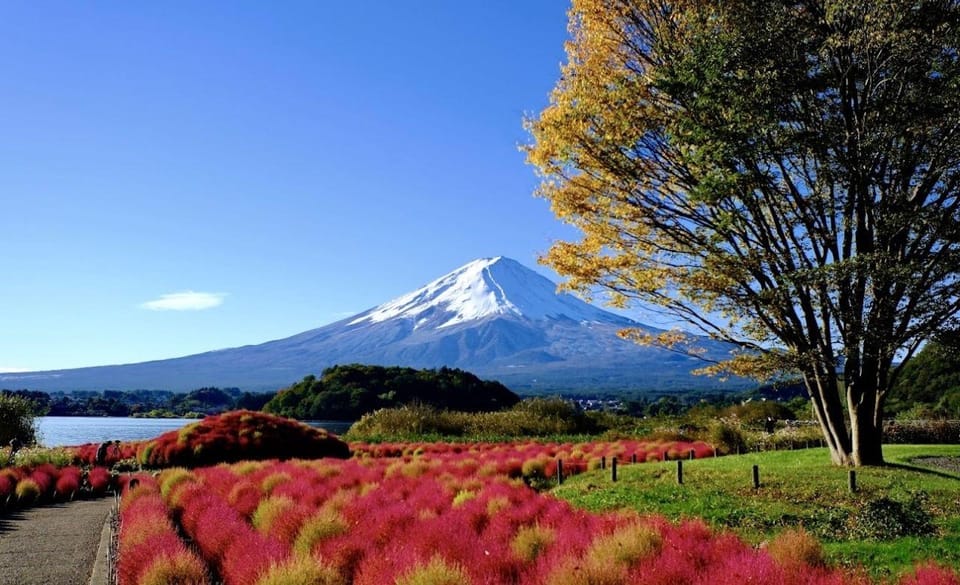 Mount Fuji Private Sightseeing Customized Day Tour - Tour Experience