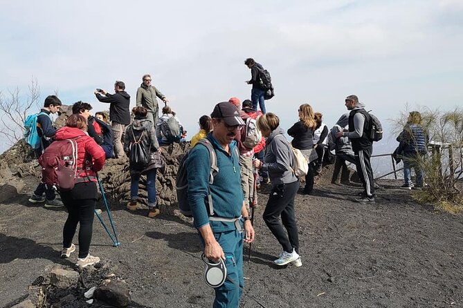 Mount Vesuvius Tour by Bus and Ticket Included From Ercolano - Time at Vesuvius