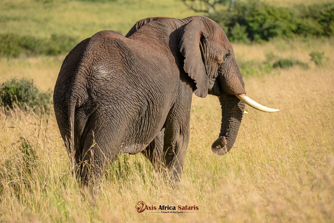 Multi Day Masai Mara Lake Nakuru Park Hellsgate Park Tour - Optional Activities