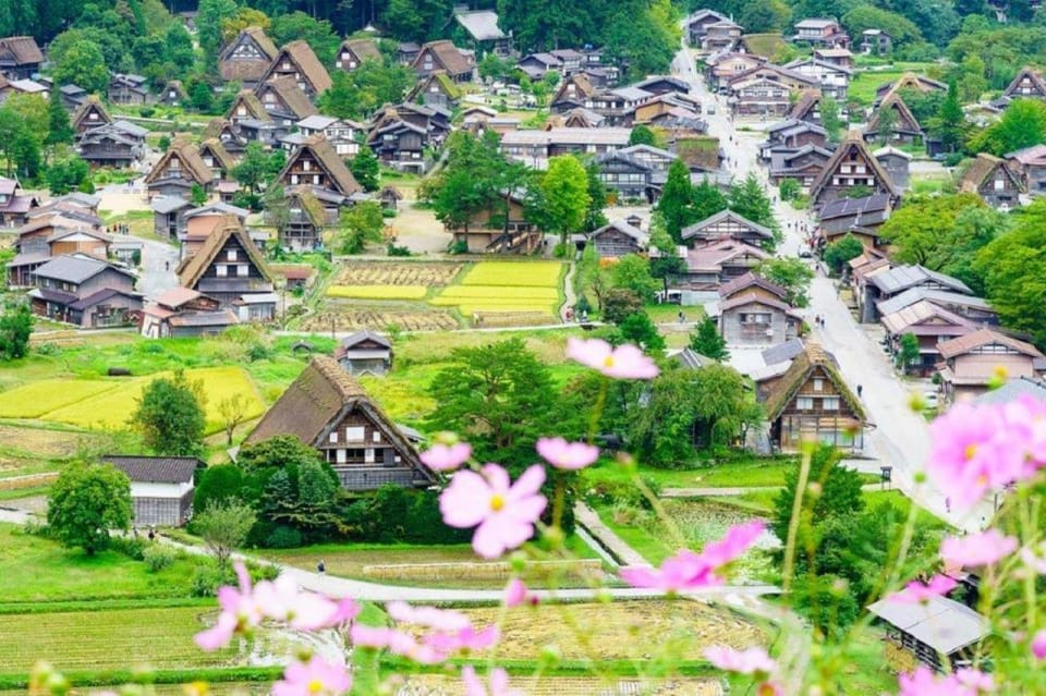 Nagoya Shirakawa-go Village and Takayama One Day Trip - Participant Information