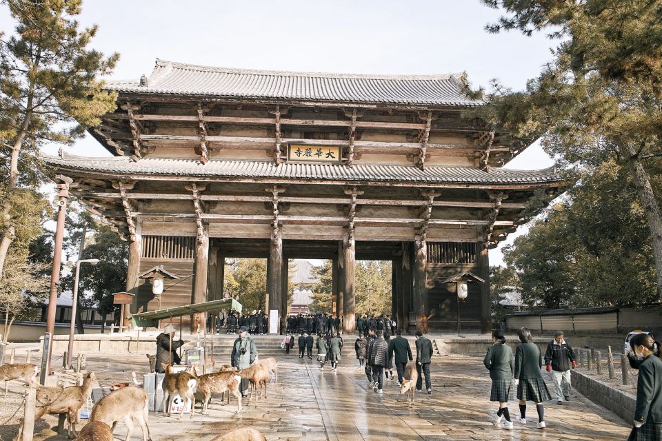 Nara Like a Local: Customized Guided Tour - Local Insights