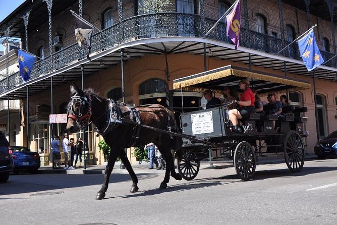 New Orleans French Quarter & More Carriage Ride - Carriage Features and Amenities