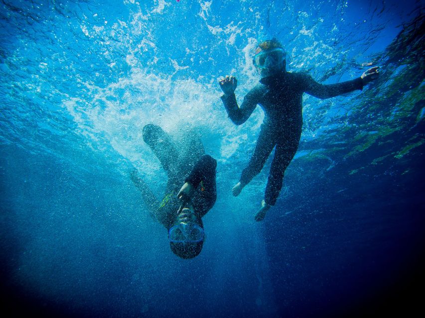 Nice: Speedboat Day Trip With Snorkeling in Villefranche Bay - Guided by Diving Instructor