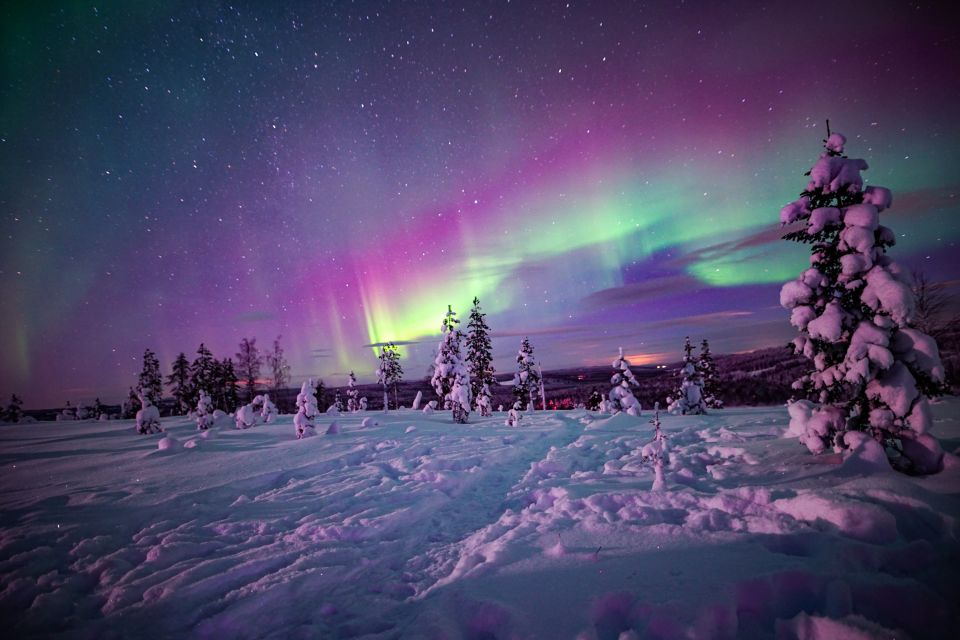 Night Snowshoeing Adventure Under the Northern Lights - Campfire and Refreshments