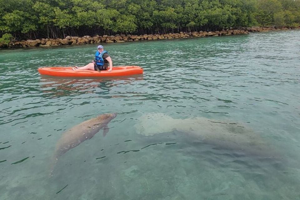 North Miami: Nature & Island Exploration on SUP/Kayak - What to Bring