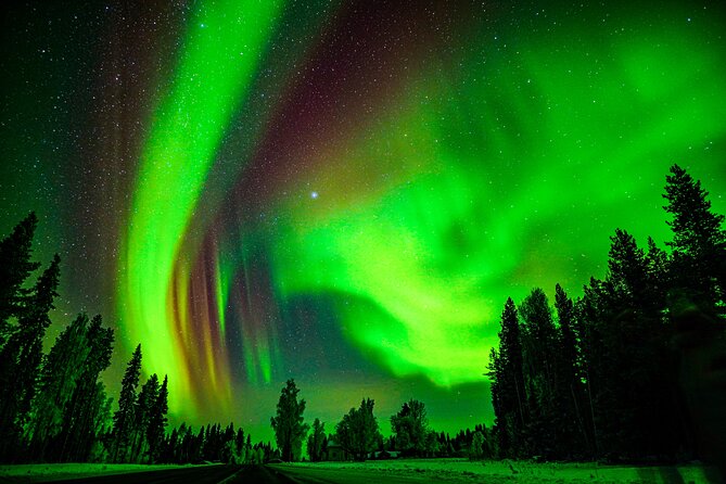 Northern Lights Hunting Adventure in Lapland - Accessibility and Participation