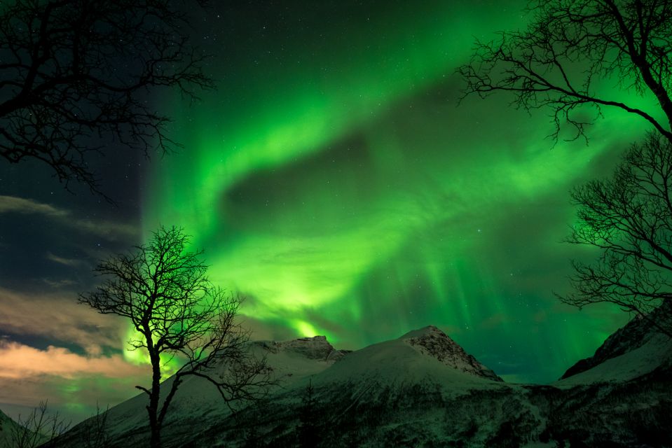 Northern Lights Tromsø - Small Group Tour With Local Guide - Experienced Guides