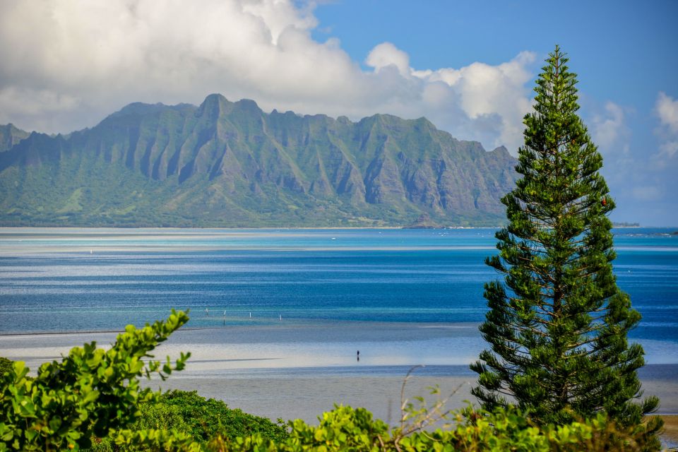 Oahu: 10-Hour Sunrise & Scenic View Points Photo Tour - Important Information