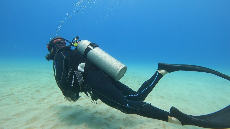 Oahu: Try Scuba Diving From Shore - Equipment and Gear Provided