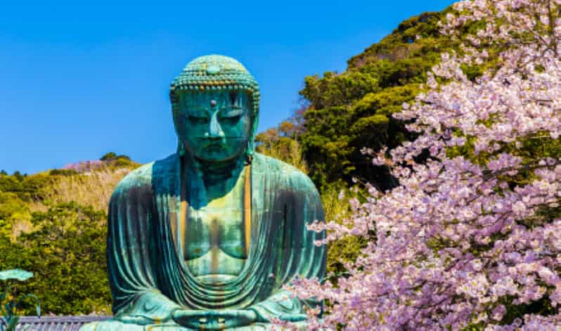 One Day Private Customized Self-Guided Tour in Kamakura - Pricing and Cancellation Policy