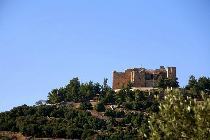 One Day Trip to Jerash & Ajloun Castle - Hiring Local Guides in Jerash