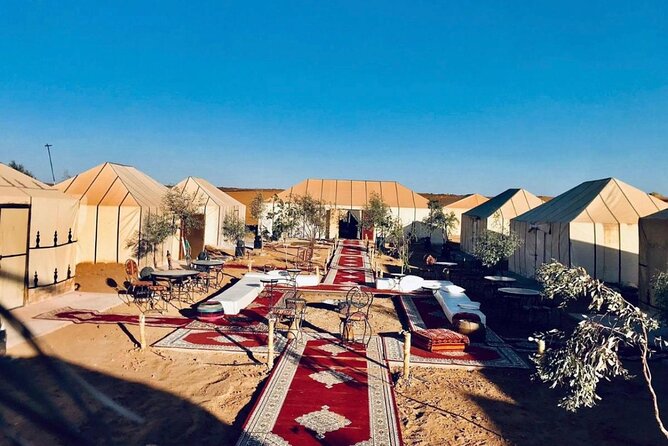 Overnight Stay in Desert Camp & Camel Trekking in the Sahara - Meeting and End Point