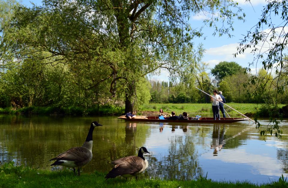 Oxford: Official University and City Walking Tour - Important Information