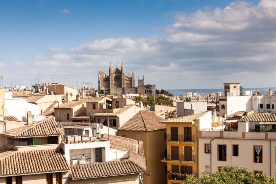 Palma De Mallorca: Private Custom Tour With a Local Guide - Accessibility and Group Size