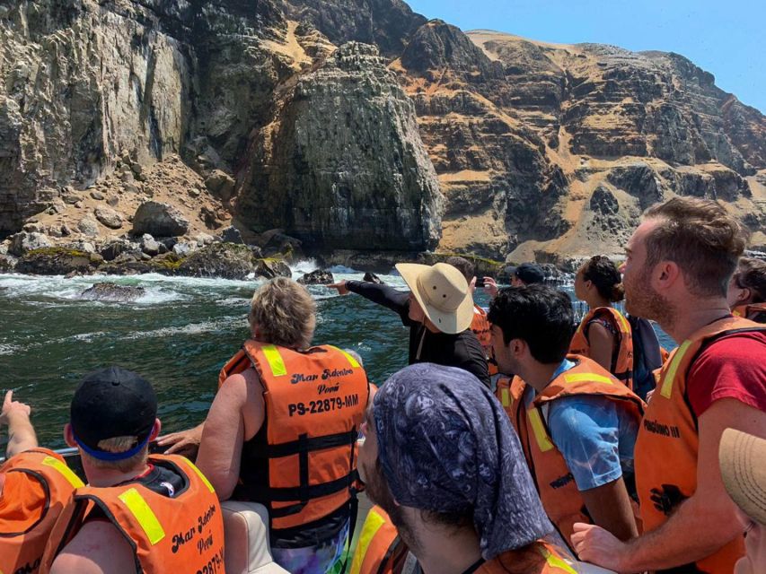 Palomino Islands Yacht Tour and Swim Alongside the Sea Lions - Swimming With Sea Lions