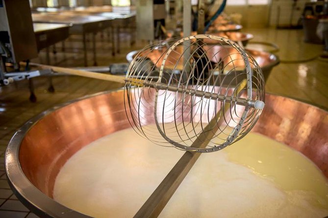 Parmigiano Reggiano Cheese Factory Tour & Tasting Experience - Cheese Tasting and Pairings