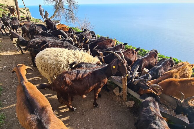 Path of Gods Hike, With Food Experience at Shepherds Hut - Recommended Attire