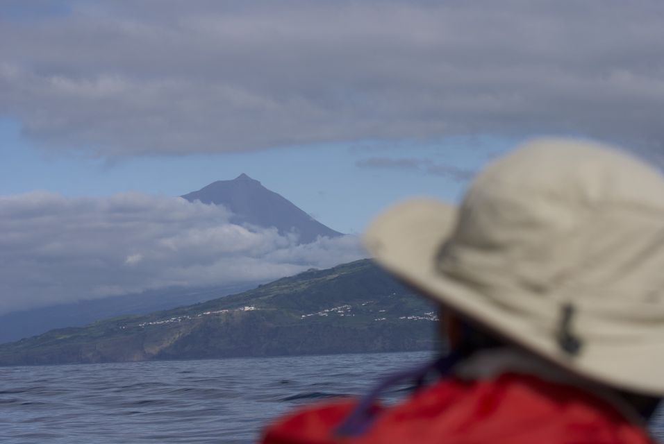 Pico Island: Whale Watching Boat Tour With Biologist Guides - Reservation and Cancellation Policy