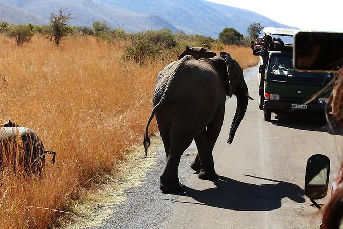 Pilanesberg National Park Full Day Safari From Johannesburg - Booking and Cancellation