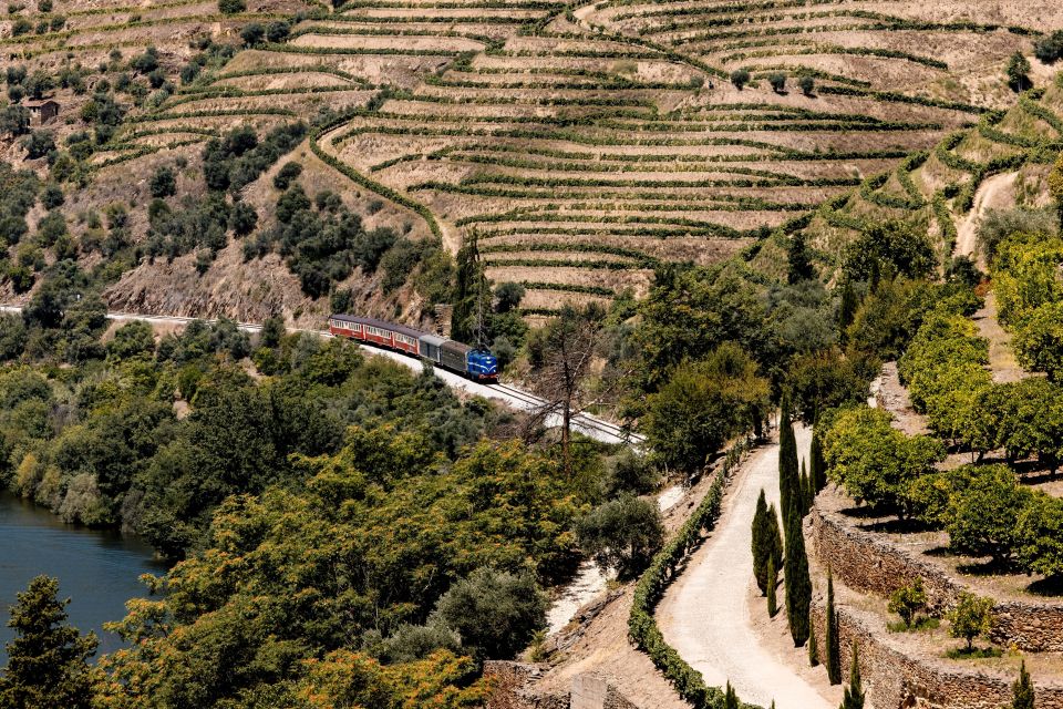 Pinháo: Douro River Boat Tour With Lunch - Train Ride Back to Pinhão