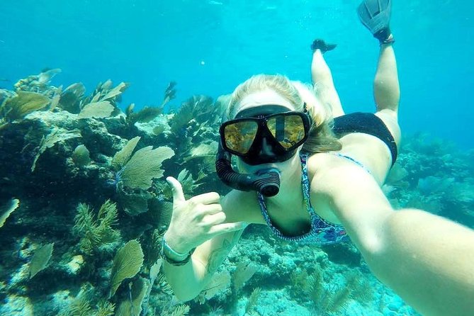 PM Half-Day Trip From Key West With Kayaking, Snorkeling & Sunset - Highlights and Activities