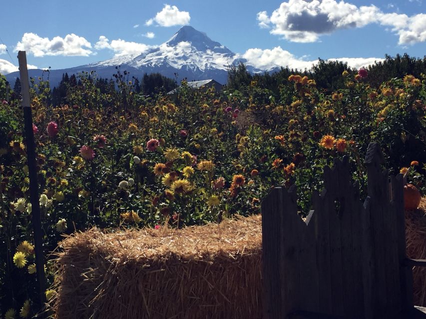 Portland: Mount Hood Wine and Waterfalls Full-Day Tour - Optional Experiences