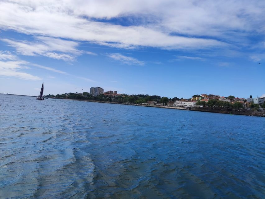 Porto: All Inclusive Day Tour (Walk, Tram, Lunch, Boat) - Guided Tour of Palacio Da Bolsa