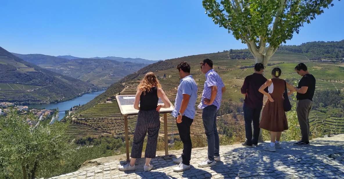 Porto: Douro Valley Wine Tour With Tastings, Boat, and Lunch - Douro Valley Wine Tastings