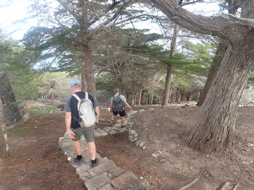 Porto Santo - Earth Trail Hiking Tour - Preparation