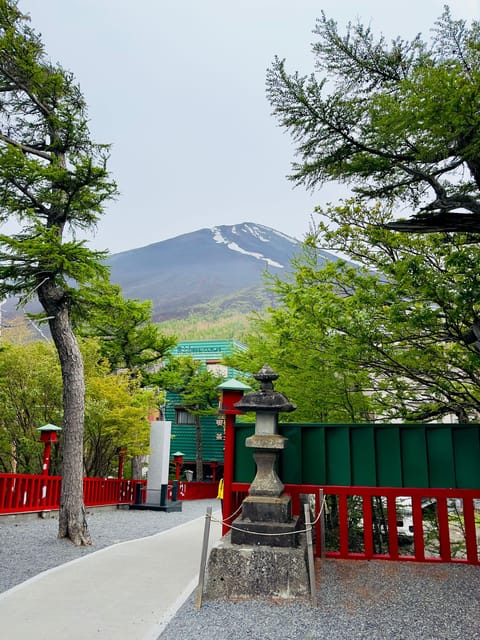 Private Day Trip to Mt. Fuji & Hakone Cherry Blossoms - Transportation and Accessibility