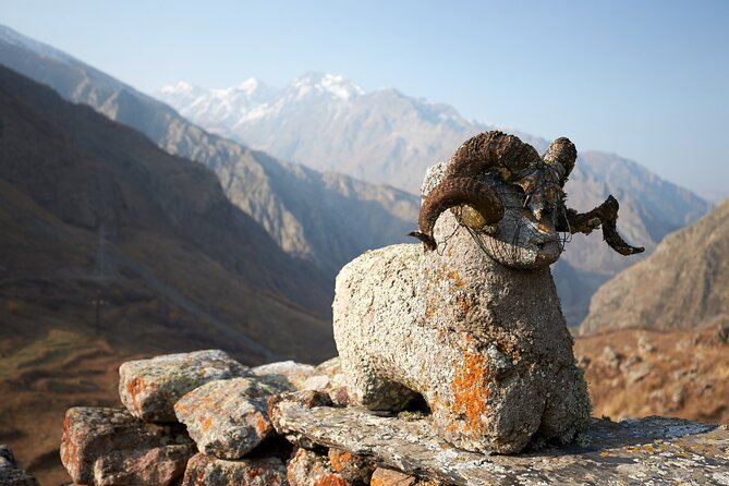 Private Day Trip to the Caucasus Mountains and the Russian Border - Gveleti Waterfalls Exploration