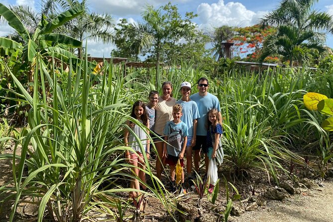 Private Half Day Tour in Dominican Republic With Local Guide - Group Size and Pricing