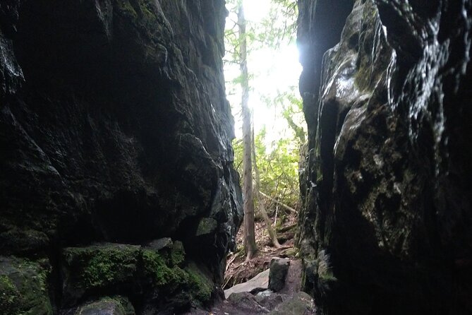 Private Singhampton Caves Hiking Tour, Collingwood/Blue Mtn - Departure Times