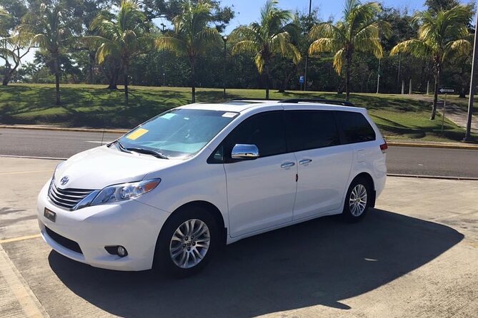 Private Transfer From Puerto Plata Airport & Cofresi Palm Beach - Personalized Experience